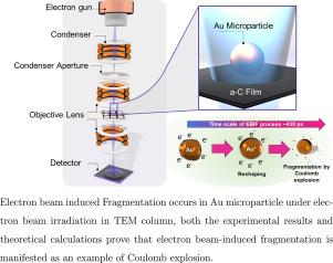 Influence of magnetic field on electron beam-induced Coulomb explosion of gold microparticles in transmission electron microscopy