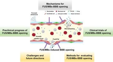 Recent advances of focused ultrasound induced blood-brain barrier opening for clinical applications of neurodegenerative diseases