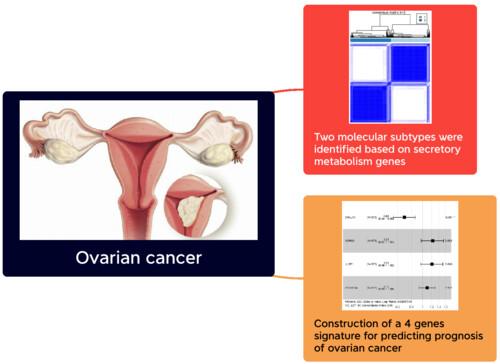 Comprehensive profiling of endocrine metabolism identifies a novel signature with robust predictive value in ovarian cancer