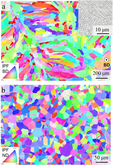 Metastable cellular structures govern localized corrosion damage development in additive manufactured stainless steel