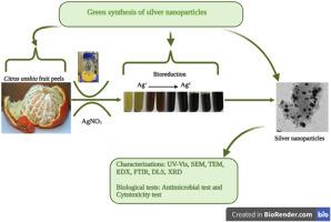 Antibacterial and cytotoxicity activity of green synthesized silver nanoparticles using aqueous extract of naartjie (Citrus unshiu) fruit peels