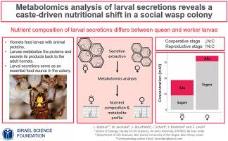 Metabolomics analysis of larval secretions reveals a caste-driven nutritional shift in a social wasp colony