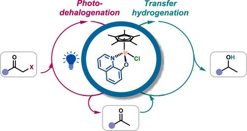 Double Catalytic Activity Unveiled: Synthesis, Characterization, and Catalytic Applications of Iridium Complexes in Transfer Hydrogenation and Photomediated Transformations