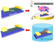 Potassium hydroxide treatment of layered WSe2 with enhanced electronic performances†