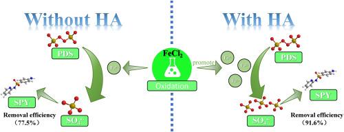 Activation of peroxydisulfate by iron dichloride with hydroxylamine promoted sulfapyridine degradation