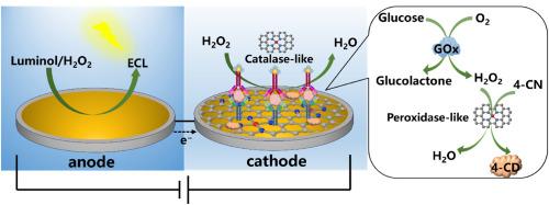 Fe-single-atom catalysts boosting electrochemiluminescence via bipolar electrode integrated with its peroxidase-like activity for bioanalysis