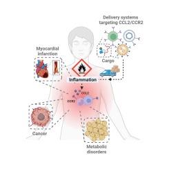 The role of CCL2/CCR2 axis in cancer and inflammation: The next frontier in nanomedicine