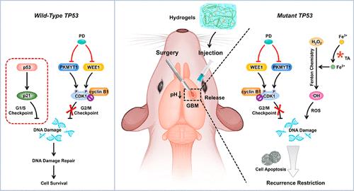 Suit the Remedy to the Case: An Activatable DNA Damage Initiator for Postsurgical Therapy of Glioblastoma with TP53 Mutations