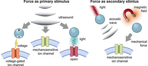 Force-Based Neuromodulation