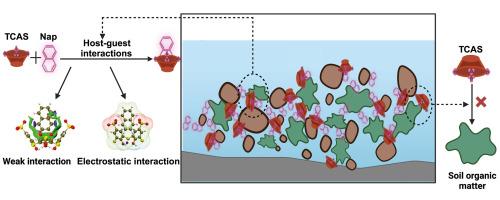 PAHs removal by soil washing with thiacalix[4]arene tetrasulfonate