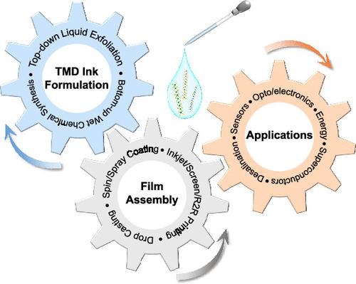 Solution-Processable and Printable Two-Dimensional Transition Metal Dichalcogenide Inks