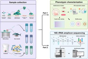 Identification of microbial communities and multi-species biofilms contamination in seafood processing environments with different hygiene conditions