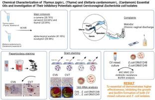 Chemical characterization of Thymus zygis L. (thyme) and Elettaria cardamomum L. (cardamom) essential oils and investigation of their inhibitory potentials against cervicovaginal Escherichia coli isolates