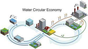 The circular economy of water across the six continents†