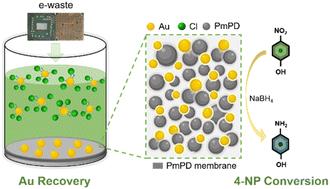 From waste to precious: recovering and anchoring Au from electronic wastewater onto poly(m-phenylenediamine) membranes for catalytic nitrophenol conversion†