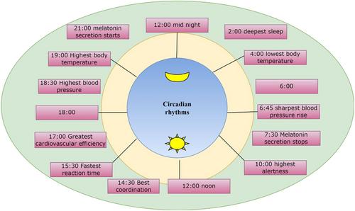 A scenario of unhealthy life cycle: The role of circadian rhythms in health