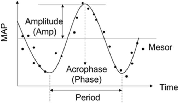 A longitudinal study of blood pressure circadian rhythm from childhood to early adulthood