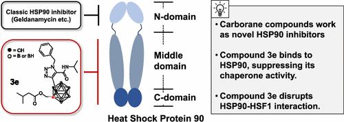 Discovery of Disubstituted Carboranes as Inhibitors of Heat Shock Protein 90–Heat Shock Factor 1 Interaction