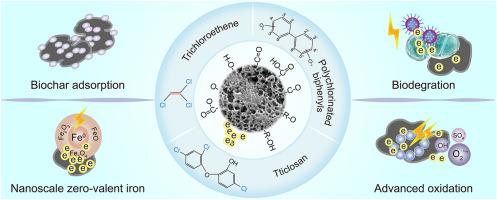 Biochar-based composites for removing chlorinated organic pollutants: Applications, mechanisms, and perspectives