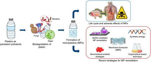 A critical review of microplastics in aquatic ecosystems: Degradation mechanisms and removing strategies