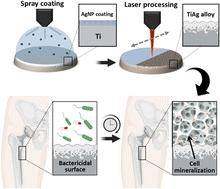 Laser-assisted surface alloying of titanium with silver to enhance antibacterial and bone-cell mineralization properties of orthopedic implants†