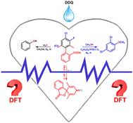 DFT investigation of the DDQ-catalytic mechanism for constructing C–O bonds†