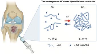 Injectable in situ gelling methylcellulose-based hydrogels for bone tissue regeneration†