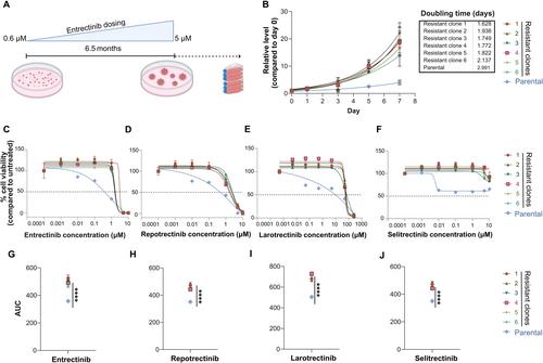 Acquired NF2 mutation confers resistance to TRK inhibition in an ex vivo LMNA::NTRK1-rearranged soft-tissue sarcoma cell model