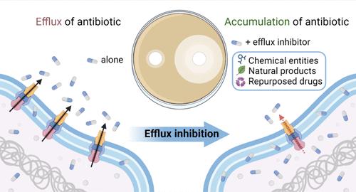 Extending the Potency and Lifespan of Antibiotics: Inhibitors of Gram-Negative Bacterial Efflux Pumps