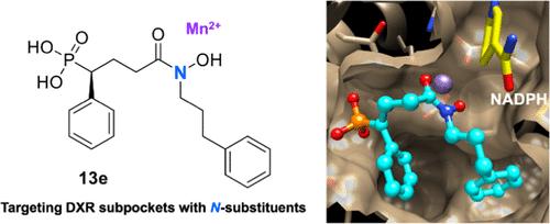 Reverse N-Substituted Hydroxamic Acid Derivatives of Fosmidomycin Target a Previously Unknown Subpocket of 1-Deoxy-d-xylulose 5-Phosphate Reductoisomerase (DXR)