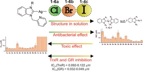 Silver Organometallics that are Highly Potent Thioredoxin and Glutathione Reductase Inhibitors: Exploring the Correlations of Solution Chemistry with the Strong Antibacterial Effects