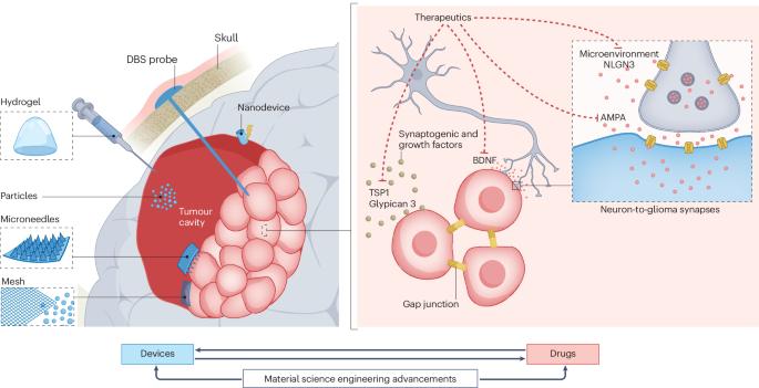 Leveraging next-generation materials for cancer neuroscience therapies in the central nervous system