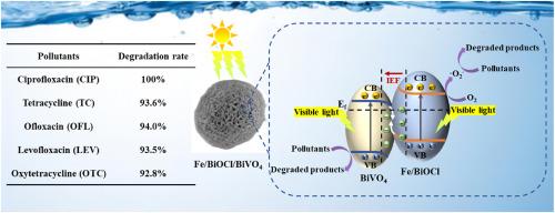 S-scheme heterojunction construction of Fe/BiOCl/BiVO4 for enhanced photocatalytic degradation of ciprofloxacin