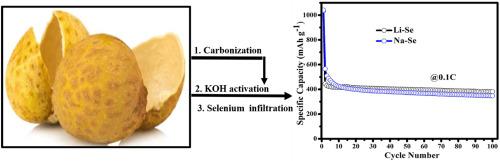 From longan peel waste to energy storage: Porous activated carbon as a cathode matrix for advanced Li/Na-selenium batteries