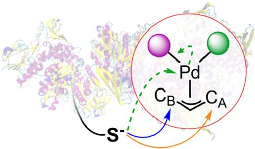 Reactivity of Palladium(II)-η3-Allyl Complexes with Chalcogenolates: A Density Functional Study of Their Antitumor Implications