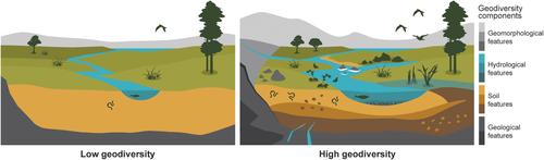 Too much diversity—Multiple definitions of geodiversity hinder its potential in biodiversity research