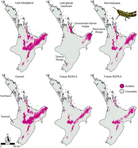 Phenotypic and genetic divergence in a cold-adapted grasshopper may lead to lineage-specific responses to rapid climate change