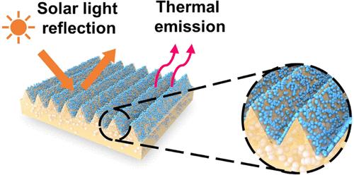 Bioinspired Design of a Binary Synergistic Photonic Structure for Daytime Radiative Cooling