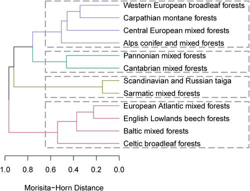 Ectomycorrhizal fungi are influenced by ecoregion boundaries across Europe