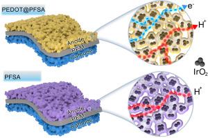 Enhancing proton exchange membrane water electrolysis by building electron/proton pathways