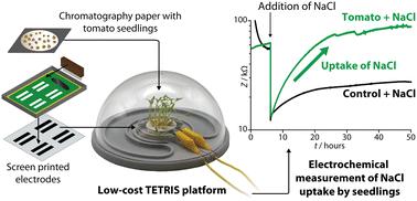 Plant-on-a-chip: continuous, soilless electrochemical monitoring of salt uptake and tolerance among different genotypes of tomato†