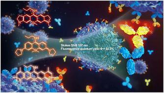 Si–rhodamine derivative with a large stokes shift for ELISA-based detection of SARS-CoV-2†