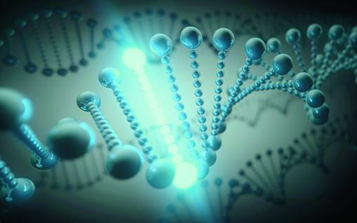 New genes associated with adult-onset obesity