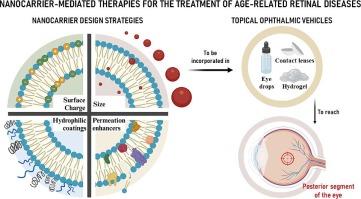 Recent advances and strategies for nanocarrier-mediated topical therapy and theranostic for posterior eye disease