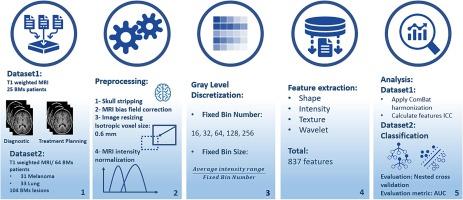 Magnetic resonance imaging radiomic features stability in brain metastases: Impact of image preprocessing, image-, and feature-level harmonization