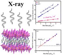 Exploring centimeter-sized single crystals of a 2D Dion–Jacobson halide perovskite toward efficient X-ray detection†