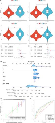 Construction of a prognostic model based on memory CD4+ T cell–associated genes for lung adenocarcinoma and its applications in immunotherapy