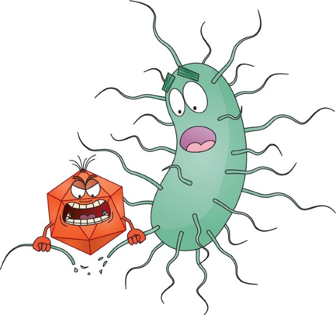 Phages get snappy