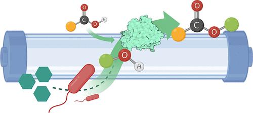 Integrated Continuous-Flow Production of Wax Esters Combining Whole-Cell and In Vitro Biocatalysis