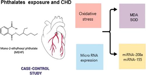 Phthalate Exposure and Coronary Heart Disease: Possible Implications of Oxidative Stress and Altered miRNA Expression